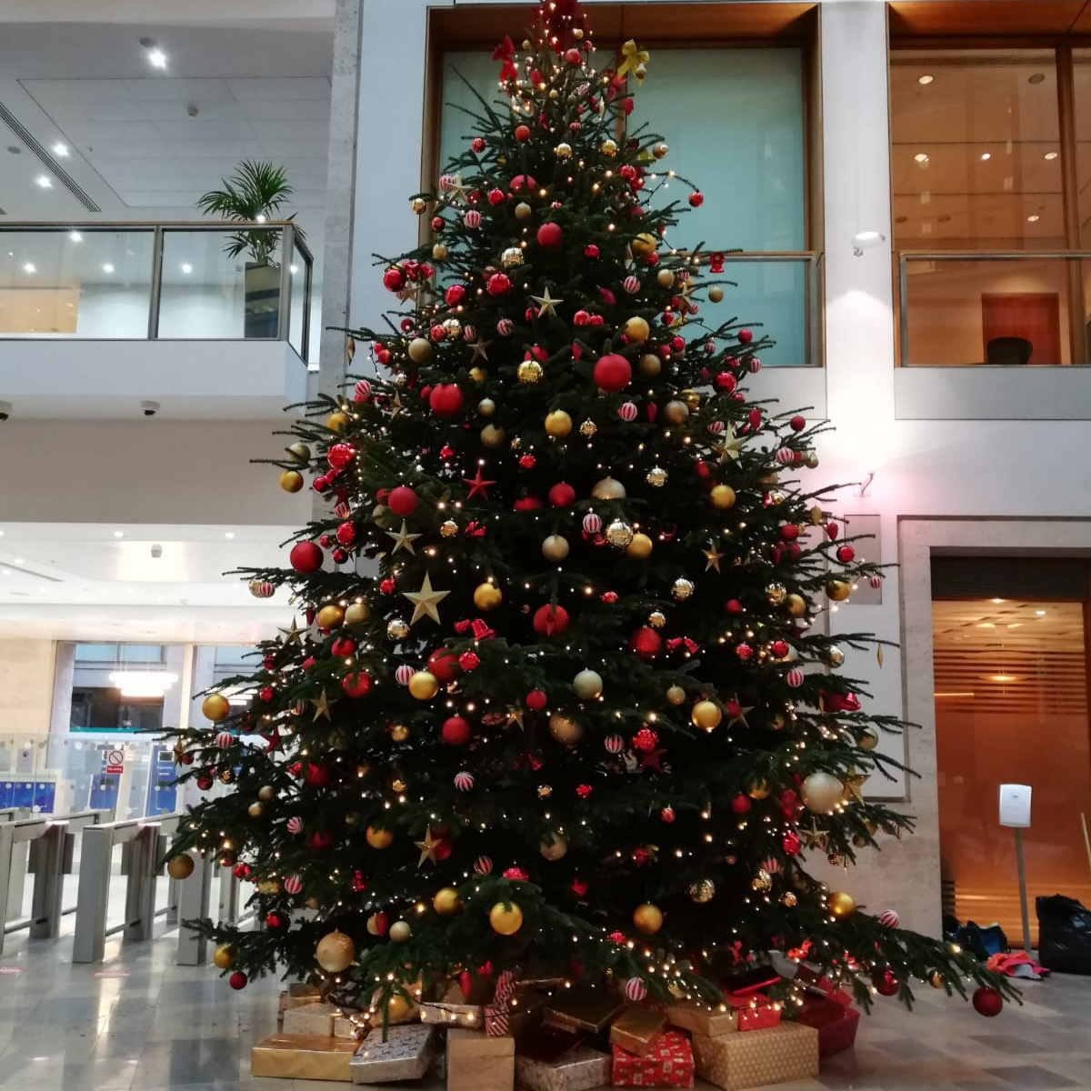Tivoli Christmas tree display